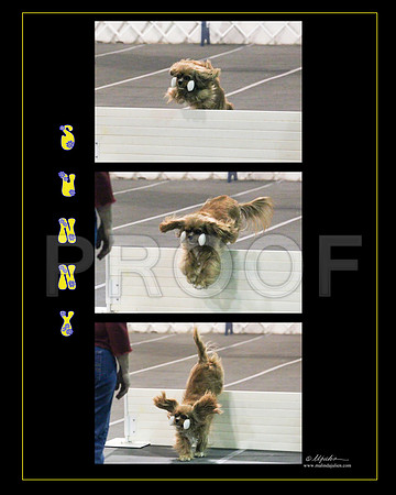 Cindy Cain Sunny TripYelblu