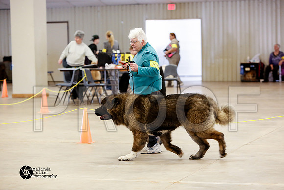 _CL_2551-WacoFeb14-HR