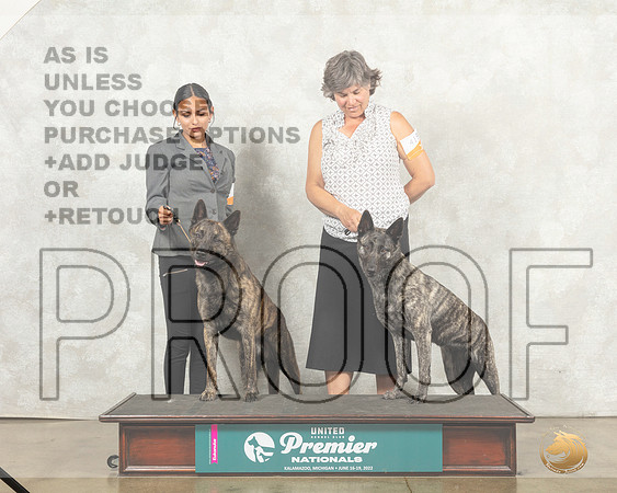 Dutch Shepherd #419 Family Photo__MJ_8950_Premier_2022_HR3