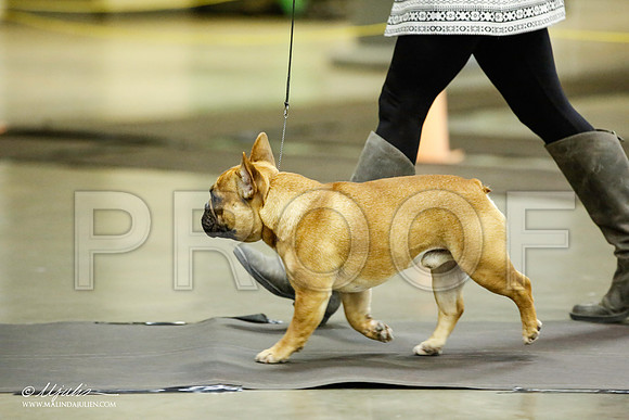 _JJ_5560-BeltonJan2015IABCA-HR3