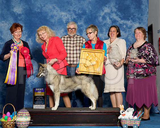 _R1_8196-HuskySltyMar2016-HR3