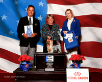 #79 Thurs 1st Opn Dog Grayson Bobbie Judge George Milutinovich