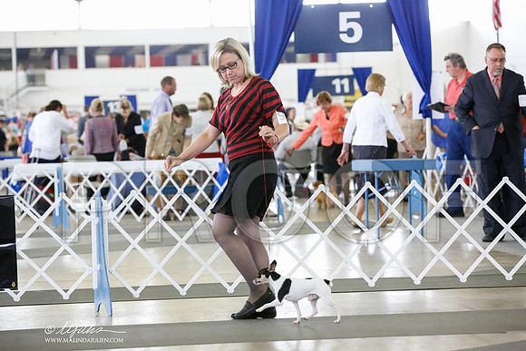 _CK_7002-DallasJul2014-HR3
