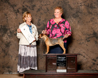 Border Terrier #6 Sat G4 Geiszler Jenny and Shannon and Karen Fitzpatrick Judge Peggy Beisel McIlwaine