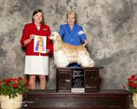 Cocker Spaniel ASCOB #5 Sat BOV Ahliquist Kristi Judge Kathleen Egeland Brock