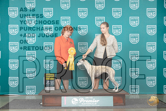 Whippet #578 Sat G4 Judge Sharon Griffin__JP_2283_Premier_2024_HR3