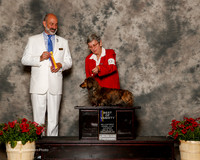 Dachshund Longhaired #9 Sat BOV Bukacek Jody and Andrea Sletten and Aubrey Nash Judge Kenneth Levison