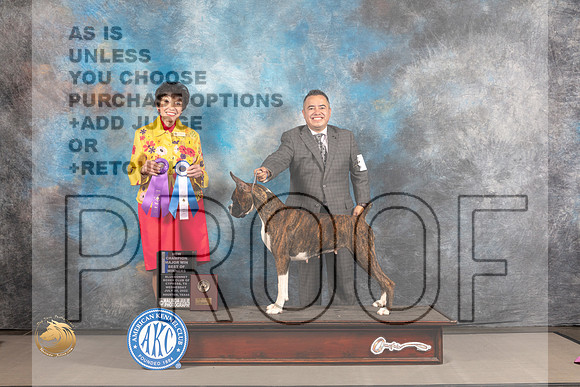 Boxer #36 WED BOW Judge Barbara Alderman_MJ_1841_Houston_2022_HR3