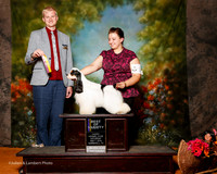 Cocker Spaniel Parti color #10 sat BOV Pruitt Beate and Megan Pruitt Judge Troy Dargin