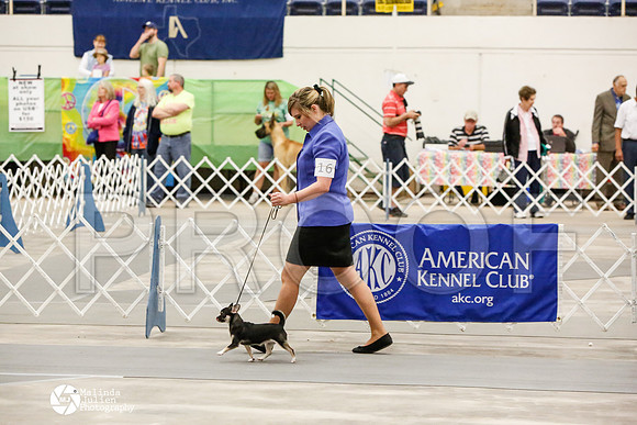 _CK_6211-AblnMay2014-web