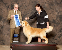Golden Retriever #5 Sat G1 Nieman Lindsay and Mia Nieman and Colleen Maddox Agent Colette Livingston Judge Jeffrey Pepper