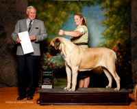 Mastiff #6 Sat G4 Lambden Jennifer Dolly moore Susan Wheeler Agent Holly Leftwich Judge Brian Meyer