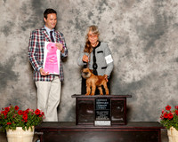 Brussels Griffon #6 Sun OH G1 Gaither Cindy Judge Richard Bohannon