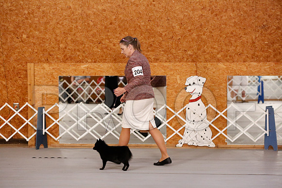 _RH_8464-CarlrolltonSept2014-HR3