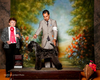 Kerry Blue Terrier #6 Sun G2 Croley Lois an dCharlene Dwyer Agnet Odebt Massey Judge Cindy Meyer