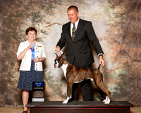 Boxer #5 Fri BOW Brenner William Dean Judge Dindy Meyer