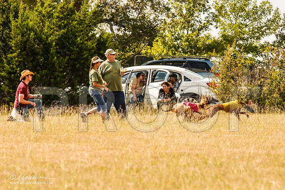 _MJ_5398-AfgBeltonOct2014-HR3
