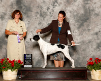 Pointer #? Sun WB NC Judge Danelle Brown