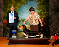 Basset Hound #7 Sat G1 Calhoun Sharon an dSteve Calhoun and Bette Williams Agent Nancy Pearson Judge Dana Cline