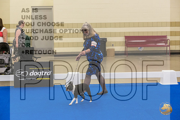 Boston Terrier #707 #974 Ring Fri_JJL_2076_Premier_2024_HR3