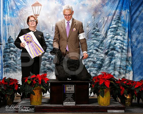 _ST_8038-2-DallasDec2014-HR3