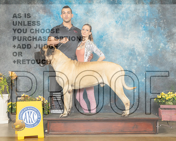 Mastiff #7 Sun Luper-MMJ_1298-NWARK2022-HR3