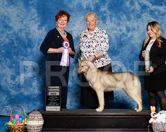 _R1_8217-2-HuskySltyMar2016-HR3