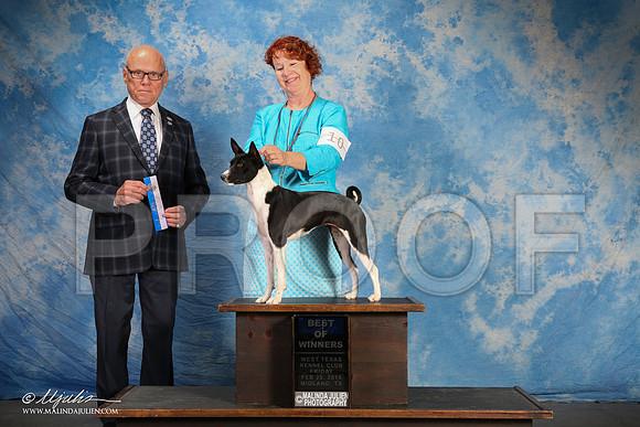 SS2_0653-2-BeltonJan2015IABCA-HR3