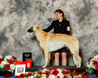 Borzois #17 Fri 1st P Sweeps Sydow Ashley N and Sherri A Nichols Judge Ms Nancy Hopkins