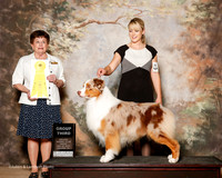 Australian Shepherd #17 Fri G3 Linda Braun and Hayden Hadley and Yvete LeBlanc Judge Cindy Meyer