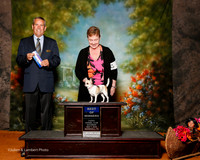 Chihuahua Smooth Coat #6 Sat BOW Evans Linda and Donna Jensen Judge Dana Cline