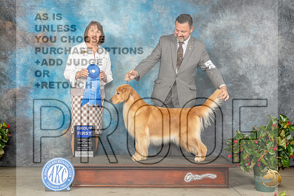 Golden Retriever #48 Fri G1 Judge Helene NietschMJP_8138_SA2023_HR3