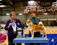 Shiba Inu #8 Fri New Ch +A1