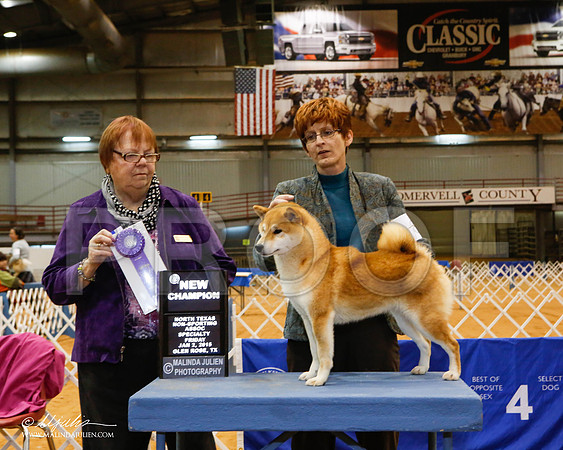 _MJ_5208-2-GlenRoseJan2015-HR3