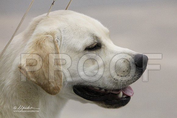 Lab-7669LR