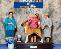 Boxer #23 Wed NC Maj WD Wilke Debra and Lisa Goss Judge Keke Kahn