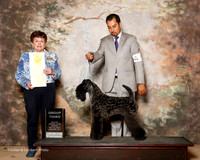 Kerry Blue Terrier #8 Sun G3 Fletcher Doreen Agent Alfonso Escobedo Judge Cindy Meyer