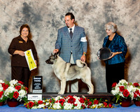 Norwegian Elkhound #5 Sun G3 Parmer Marie Peterson Elizabeth Jim Kiesel Agent Terri Galle Judge Nikki Riggsbee