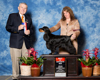 Cocker Spaniel Black #6 Sun BOS Santos Alan and Michael Buckley and Jacqueline Makoujy Agent Linda Pitts Judge Bart Miller