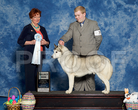 _R1_8226-HuskySltyMar2016-HR3