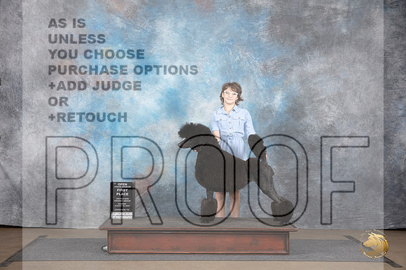 Poodle Standard #114 Sun Jr 1st Judge Matthew Proctor Chandra Martin __JP_2877_LongviewTX_2024_HR3