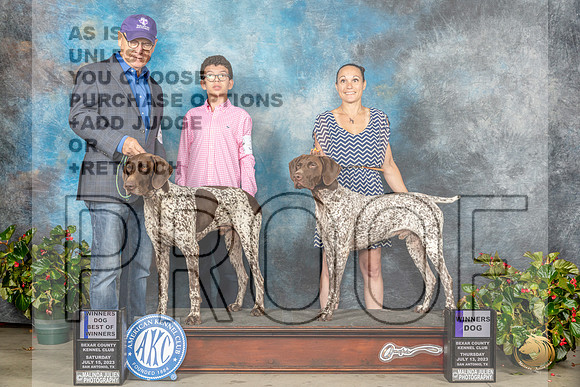 German Shorthaired Pointer #7 #25 Judge Nikki RiggsbeeMJP_9658_SA2023_HR3