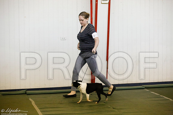 _JJ_3264-DentonMar2015-HR3
