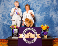 Pomeranian #19 Sun WD Fisbeck Jeanette Judge Mrs Sharon Newcomb