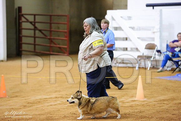 Corgi-8796-IABCAFWSPT13-HR