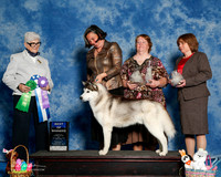 #55 sun BOW Lisa Halpain Angie Luna Theresa Galle Robert Chaffin Judge Murrel Purkhiser