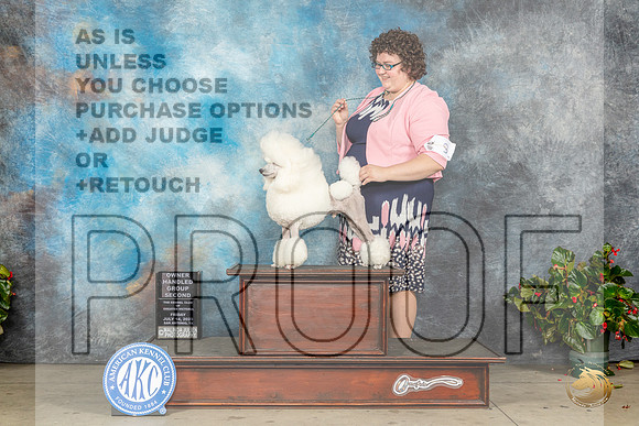 Poodle Miniature #9 Fri OHG2 Judge Helene NietschMJP_8542_SA2023_HR3