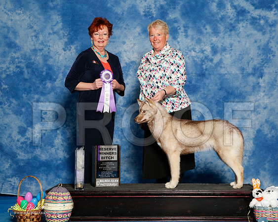_R1_8214-2-HuskySltyMar2016-HR3