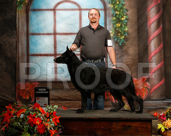_ST_7071-2-NrmnNov2014-HR3