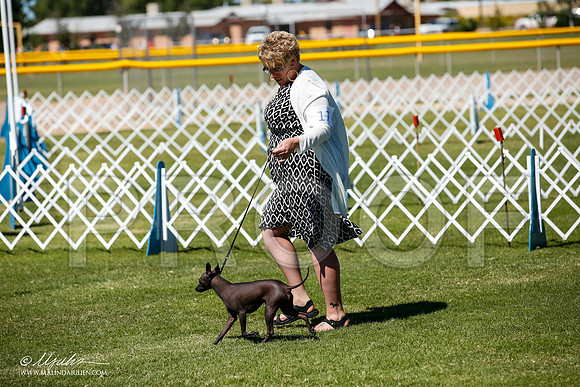 _JJ_8268-AlamogordoOct2014-HR3
